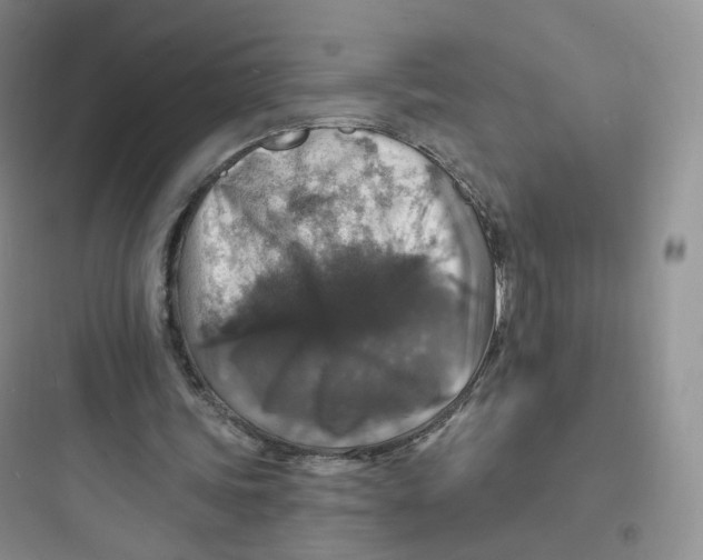 X0000097670339200803211948