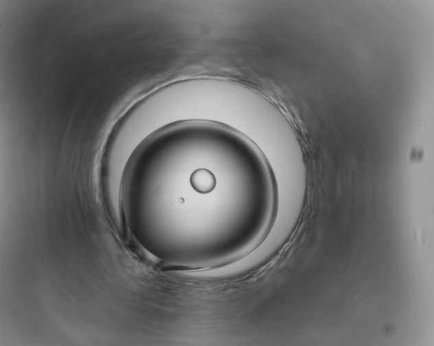 X0000097670340200803211948