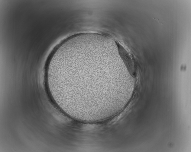 X0000097670342200803211948