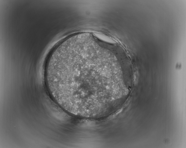 X0000097670343200803211948