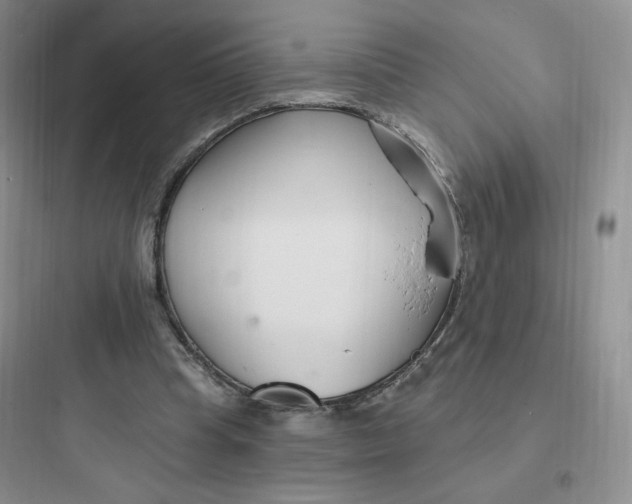 X0000097670345200803211948