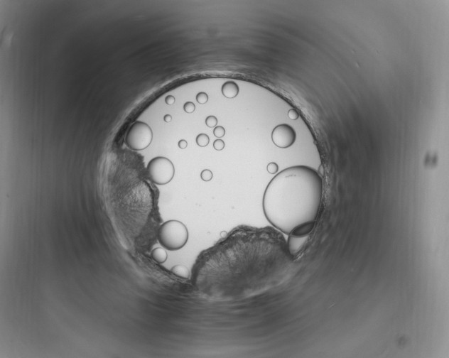 X0000097670346200803211948