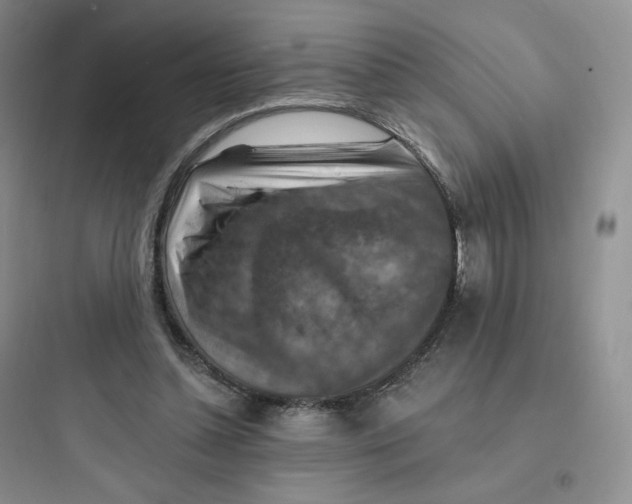 X0000097670348200803211948