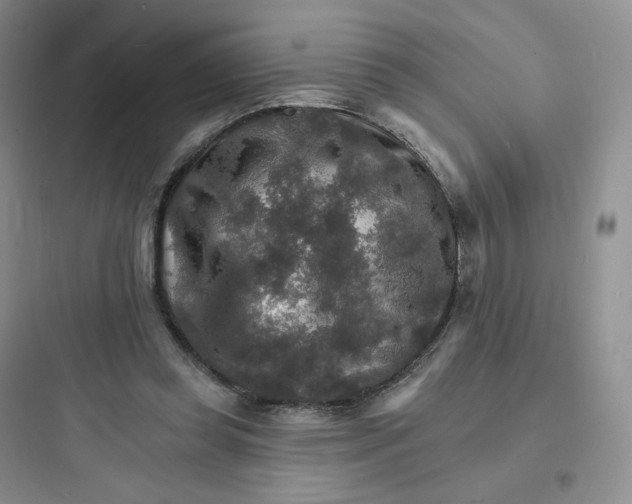 X0000097670349200803211948