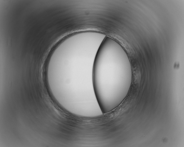 X0000097670350200803211948