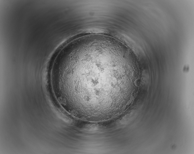 X0000097670351200803211948