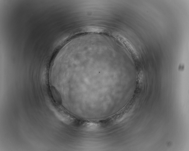 X0000097670352200803211948