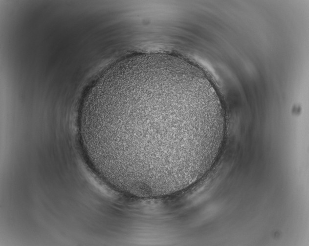 X0000097670353200803211948