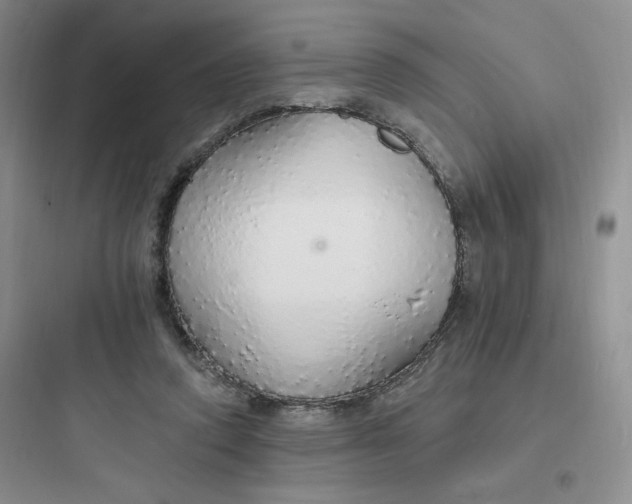 X0000097670354200803211948