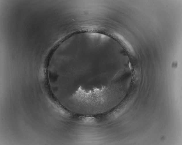 X0000097670355200803211948