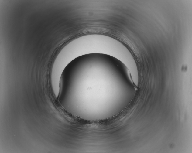 X0000097670356200803211948