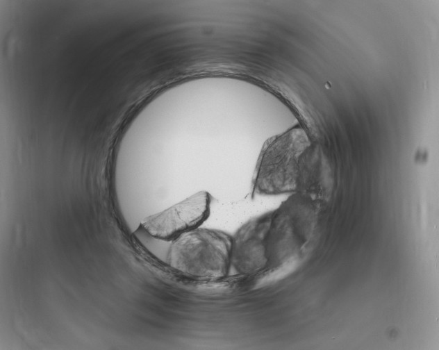 X0000097670357200803211948