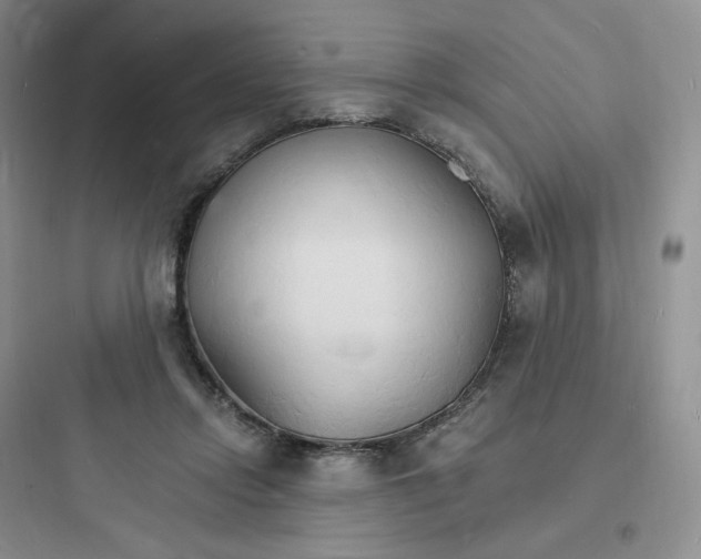 X0000097670358200803211948