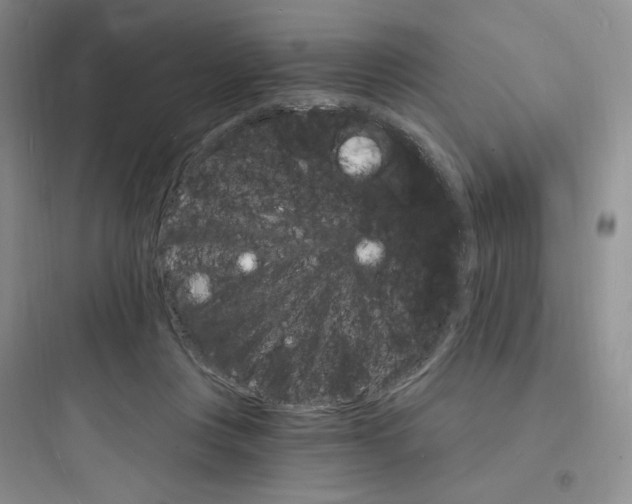 X0000097670359200803211948