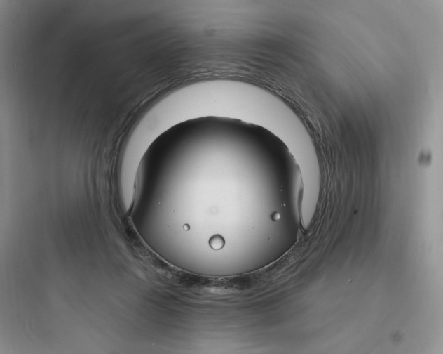 X0000097670360200803211948