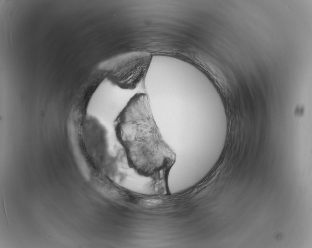 X0000097670361200803211948