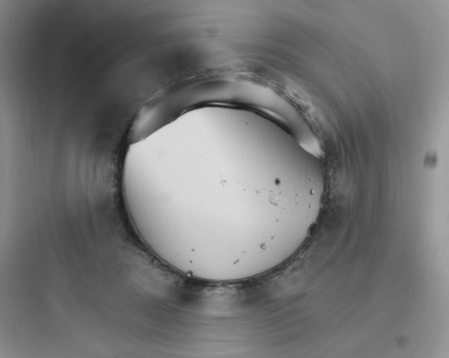 X0000097670362200803211948