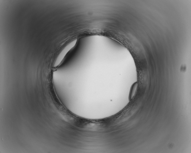 X0000097670364200803211948