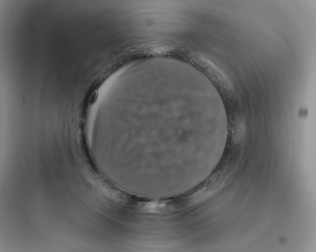 X0000097670366200803211948