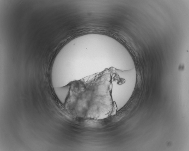 X0000097670367200803211948