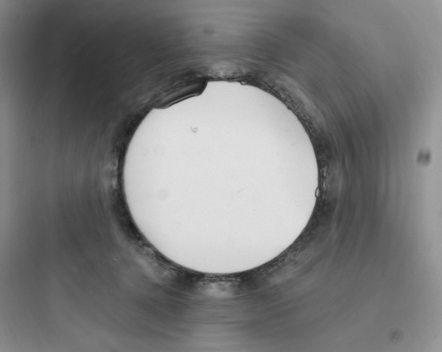 X0000097670368200803211948