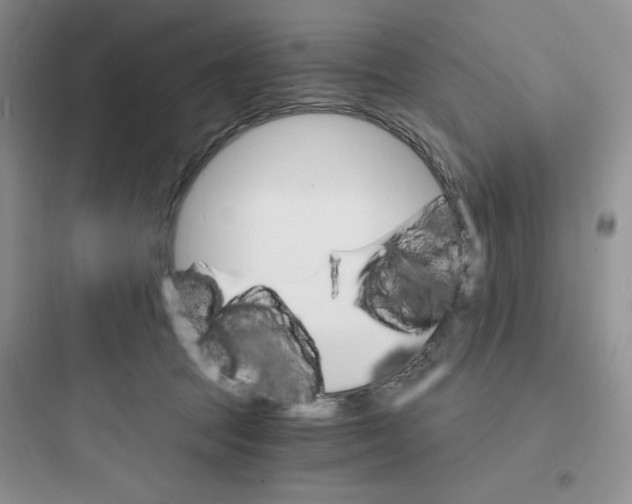 X0000097670369200803211948