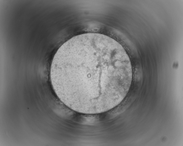 X0000097670370200803211948