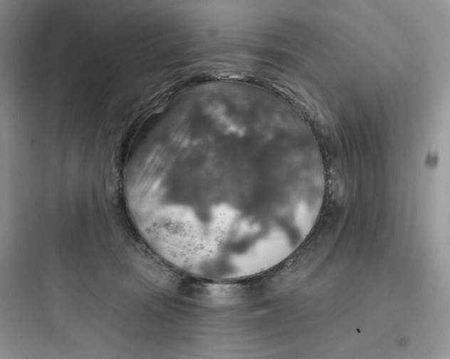 X0000097670371200803211948