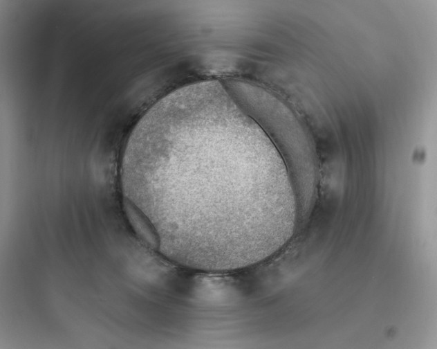 X0000097670372200803211948