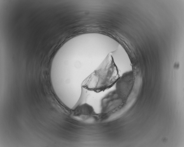 X0000097670373200803211948