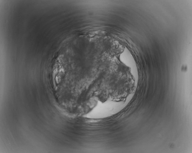 X0000097670375200803211948