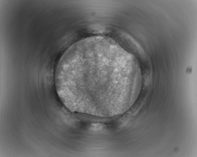 X0000097670376200803211948