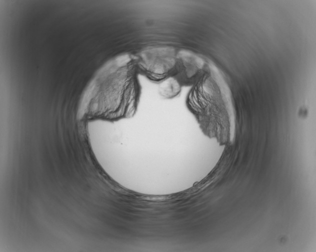 X0000097670377200803211948