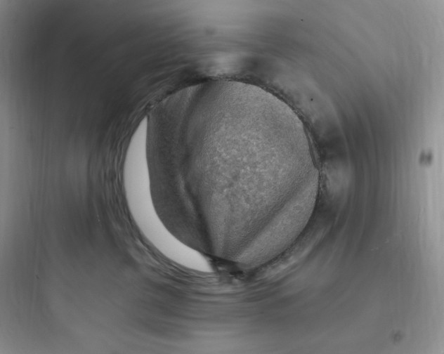 X0000097670380200803211948