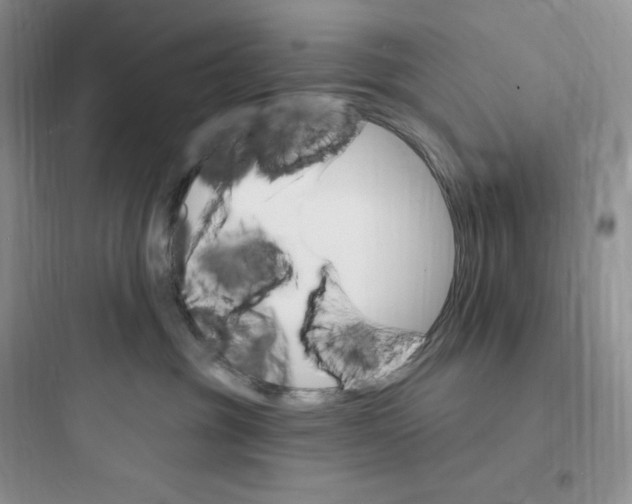 X0000097670381200803211948