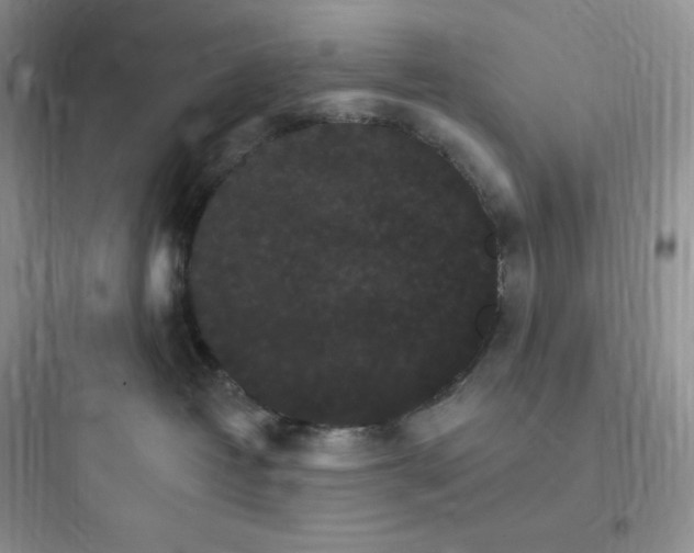 X0000097670382200803211948