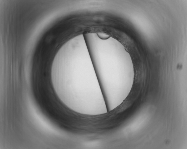 X0000097670383200803211948