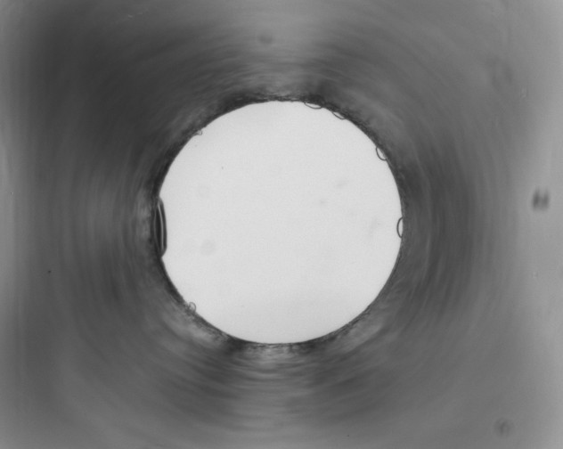 X0000097670384200803211948