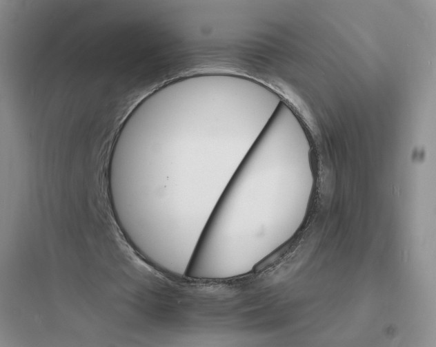 X0000097670385200803211948