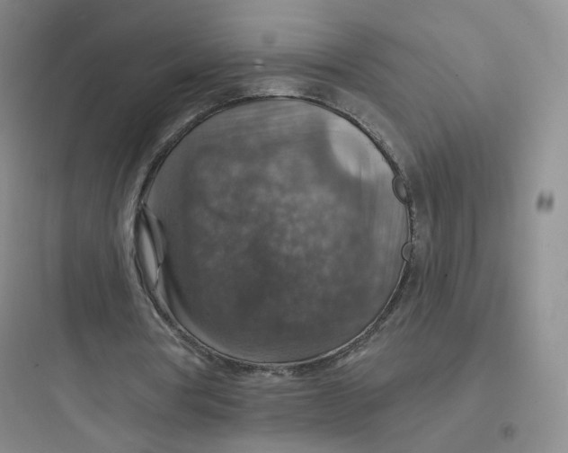 X0000097670386200803211948