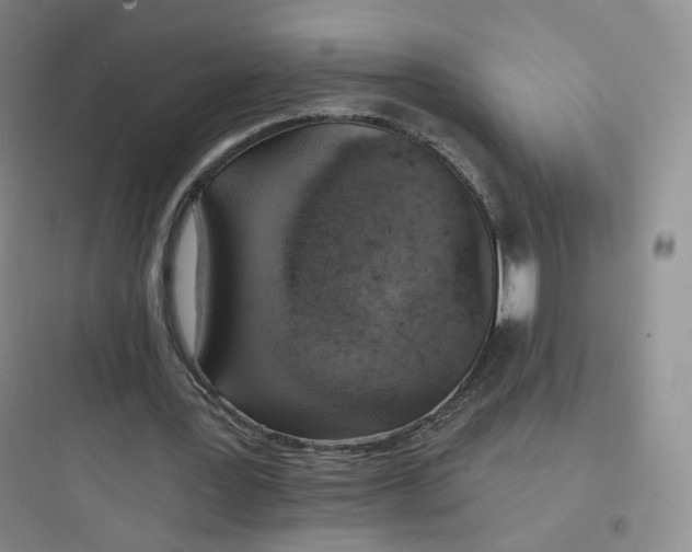 X0000097670387200803211948