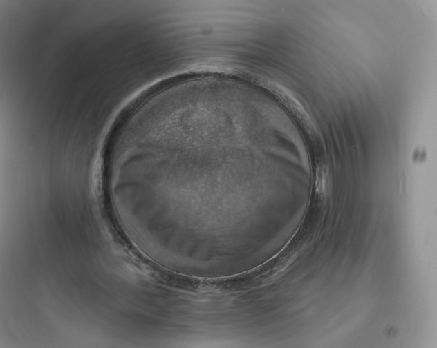 X0000097670388200803211948