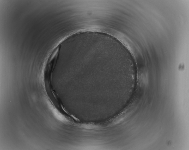 X0000097670389200803211947