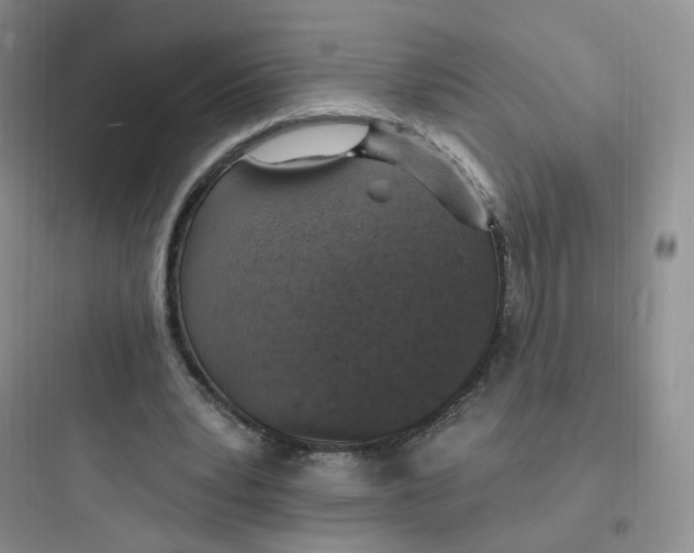 X0000097670391200803211947