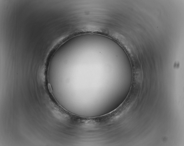 X0000097670395200803211947