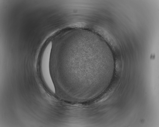 X0000097670396200803211947