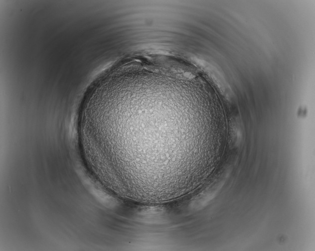 X0000097670398200803211947