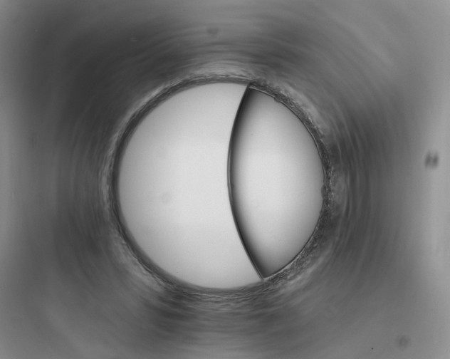 X0000097670399200803211947