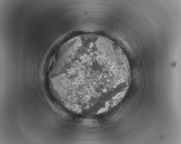 X0000097670400200803211947