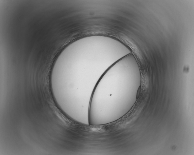 X0000097670401200803211947